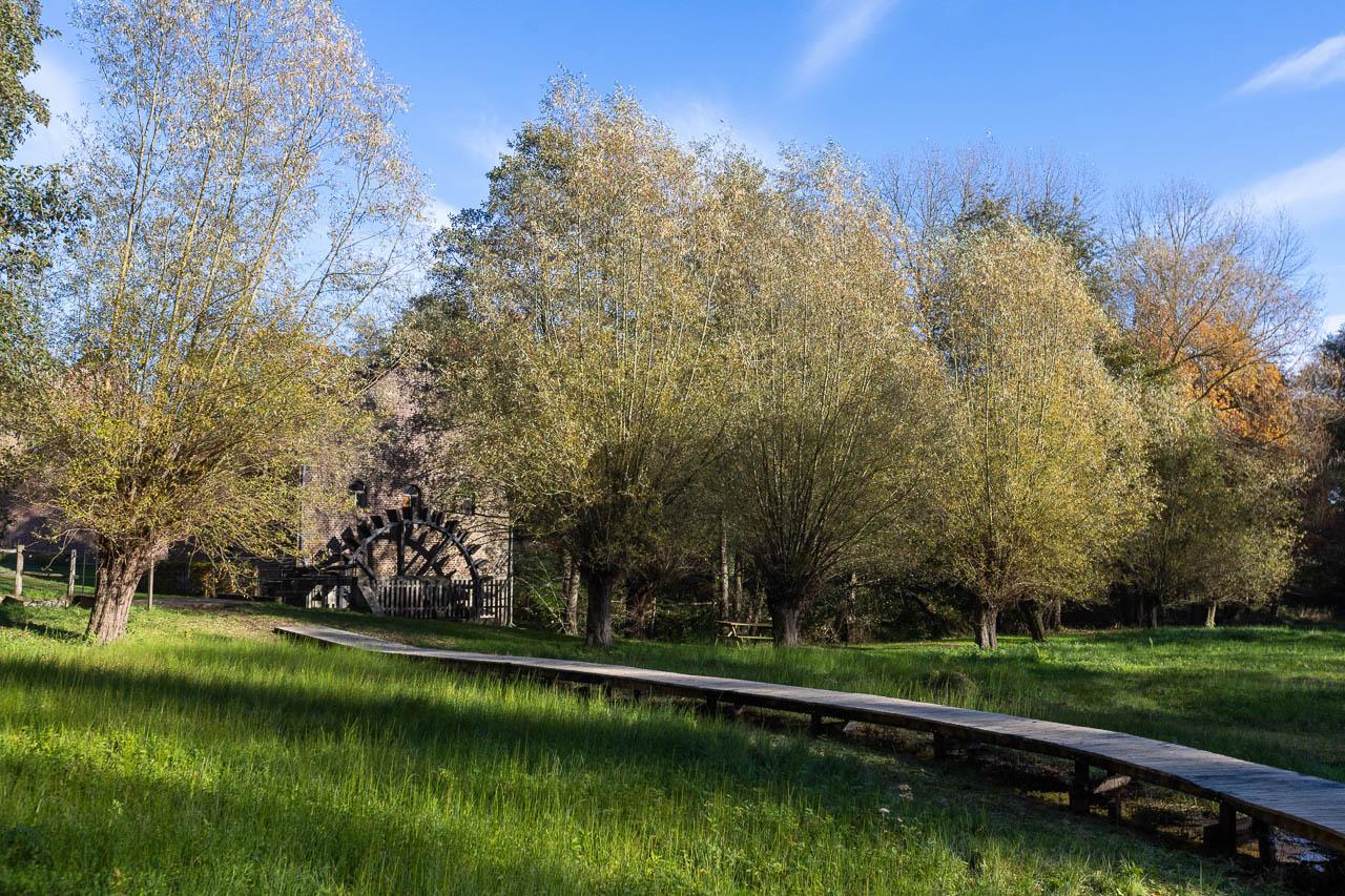 Nationaal Park Duinengordel Paarse Route Pollismolen Plankenpaden Frank Resseler Nationaal Park Hoge Kempen