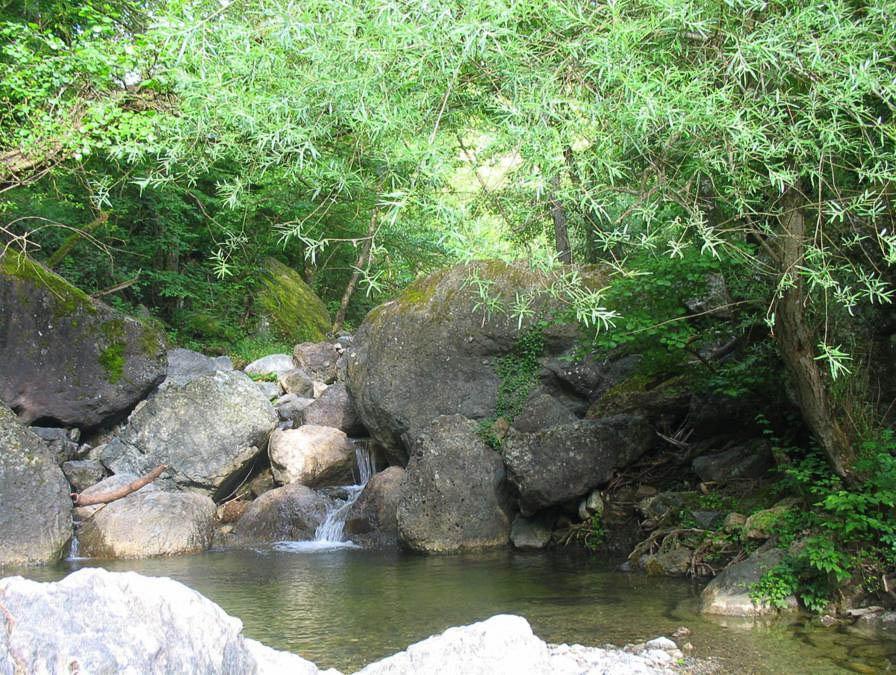 Selectie Website AR Acqua Alta 002