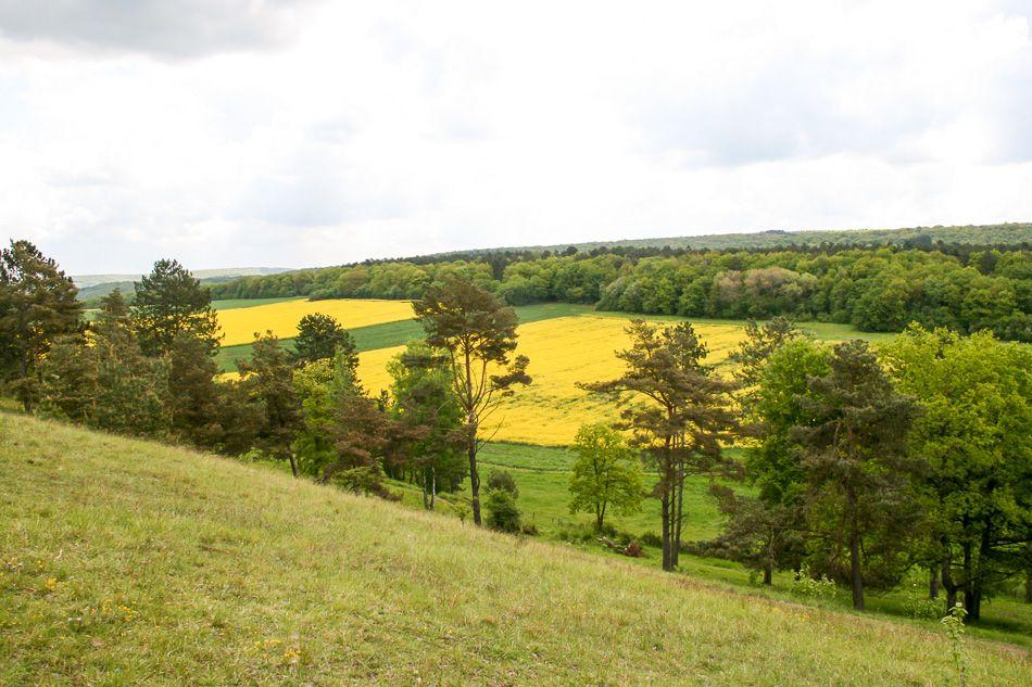 zicht op Ardennen vanaf Fondry des Chiens Nismes 2_export_w950