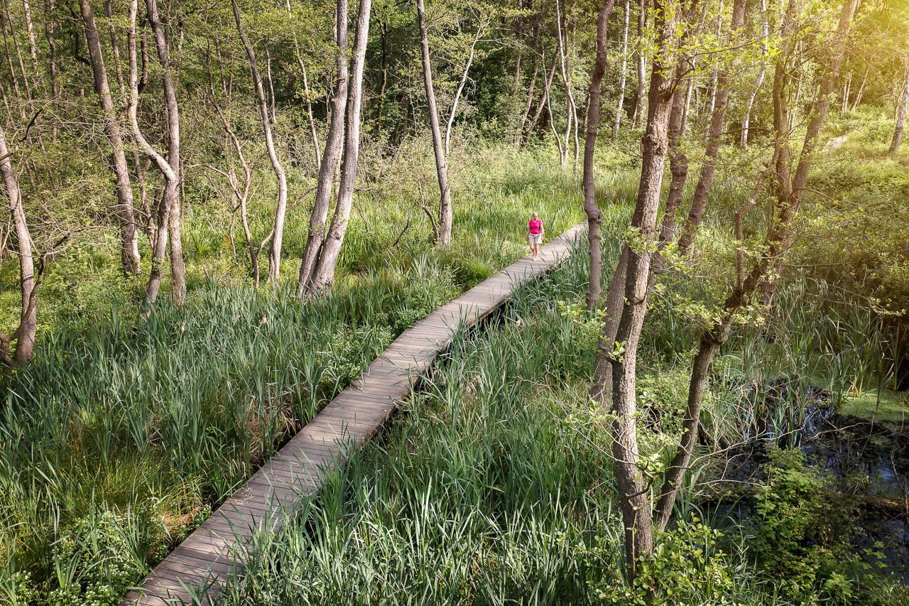 Naamsvermelding © De Wijers Xxxx(Naam Fotograaf). De Naam Van De Fotograaf Zit In De Bestandsnaam Of De Metagegevens DW De Maten Knuppelpad Robin Reynders Provincie Limburg.2 © De Wijers Robin Reynders