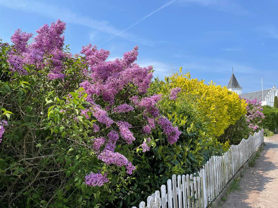 Village Of Dreslette In May DK6FNA Fyn W950