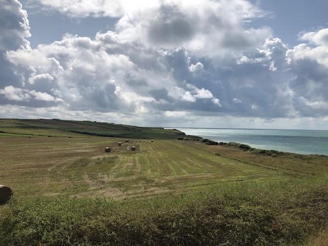 Zeezicht