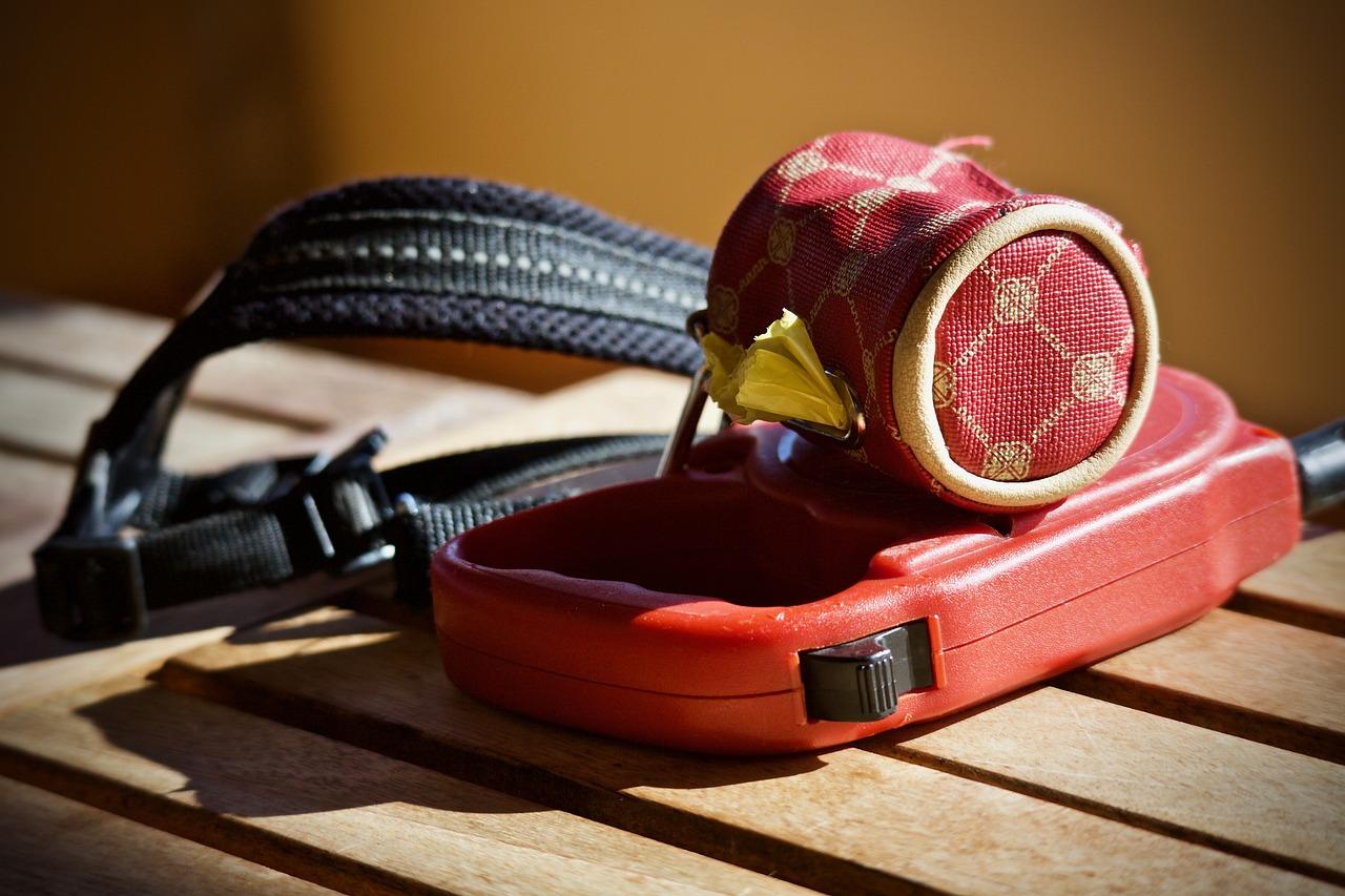 Leash 3804898 1280