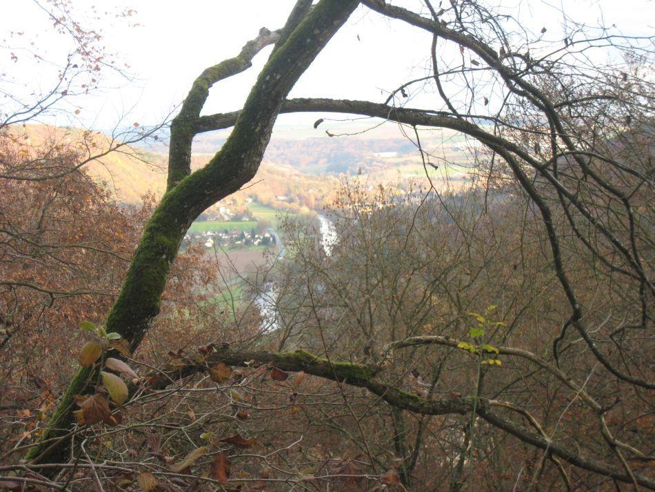 Bollendorf-09-Jef-Mertens-IMG_2554_export