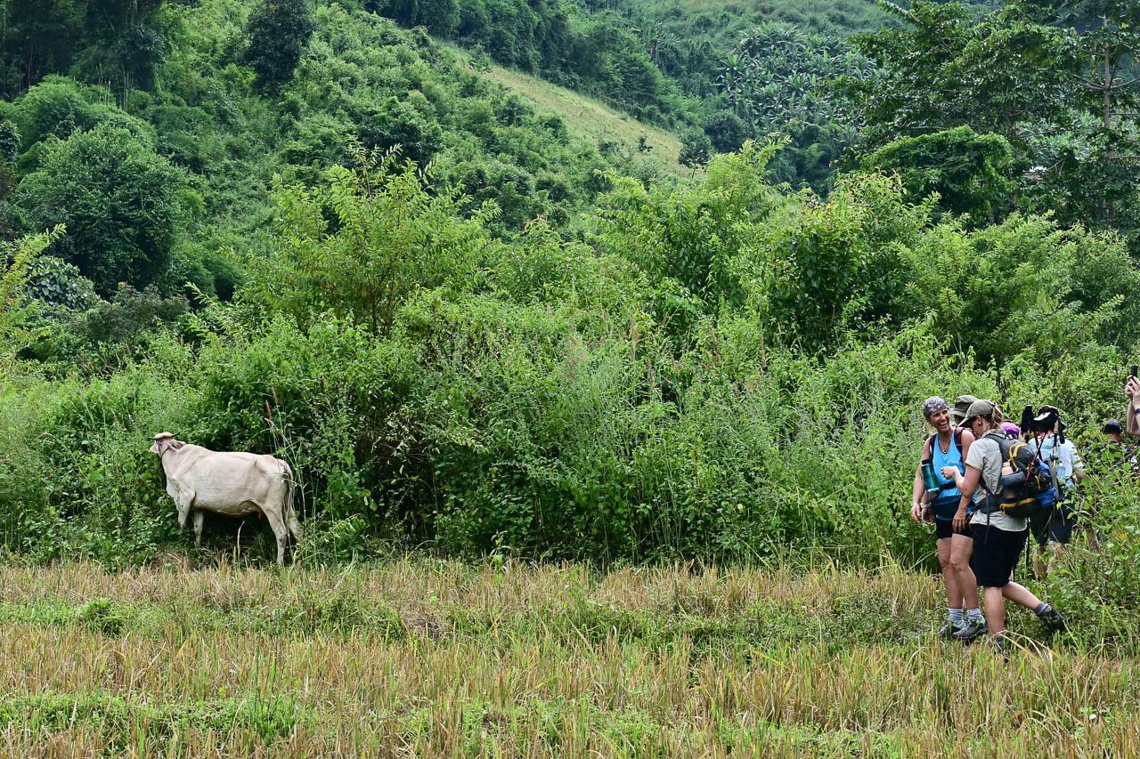 Nieuwe Selectie Trekking1 Veronique Van Hoorick