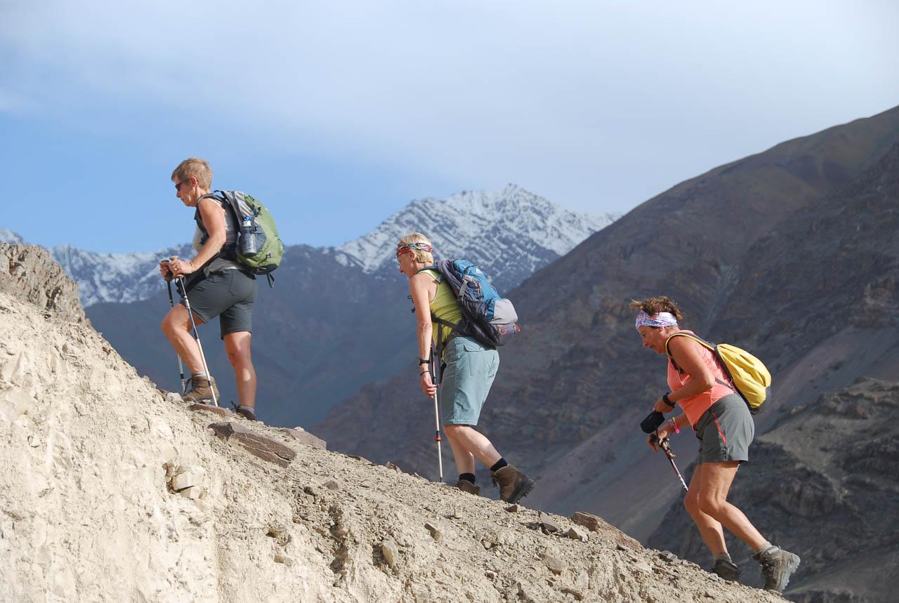 Discoveryjourneysindia (Agent) Trekking In Ladakh Zanskar