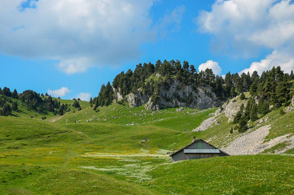 Bergerie des Chaumailloux dans le Vercors Quentin Vanaker_export_w950